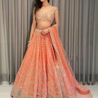 Lehnga pink free size